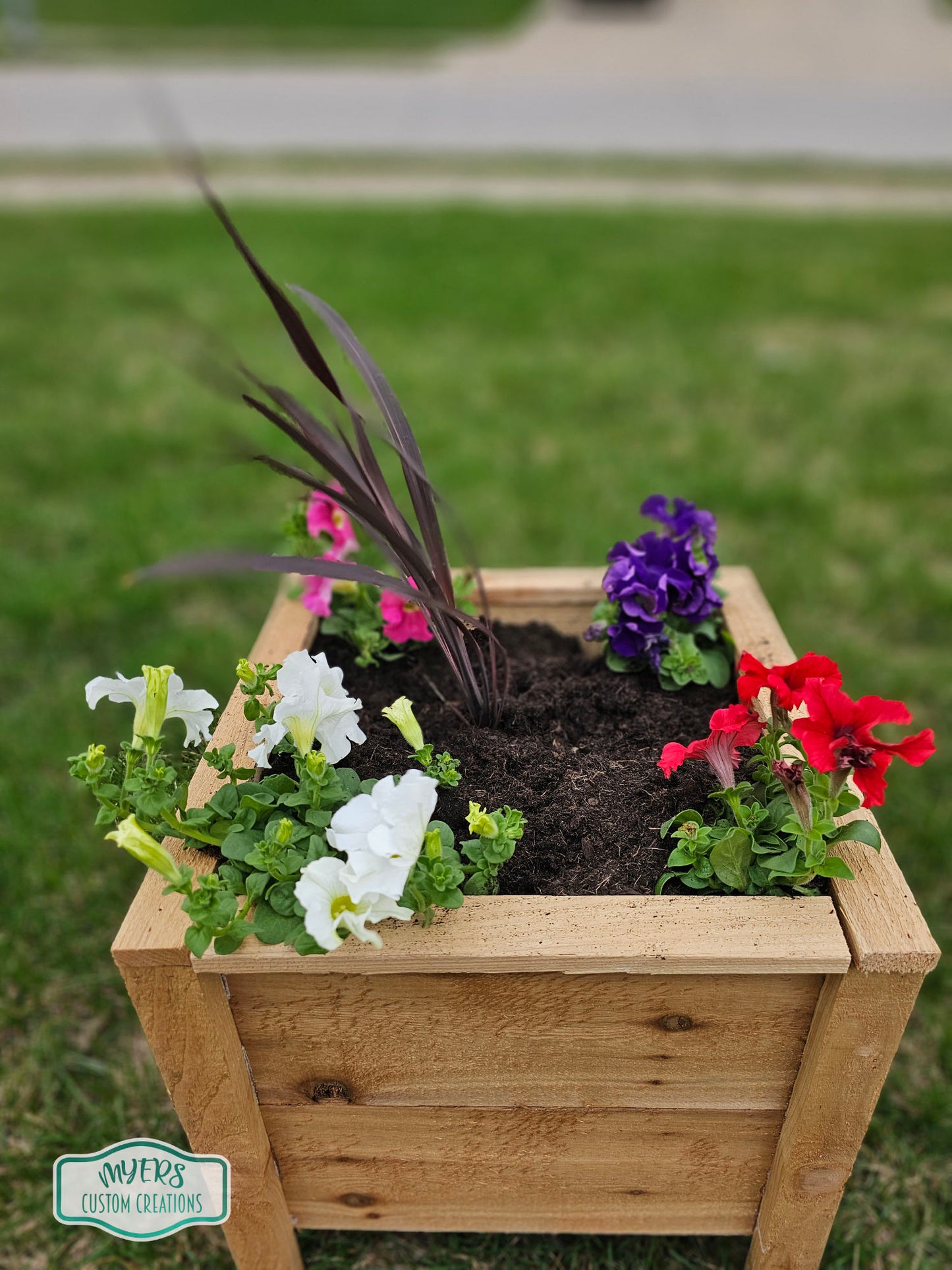 Cedar Planter