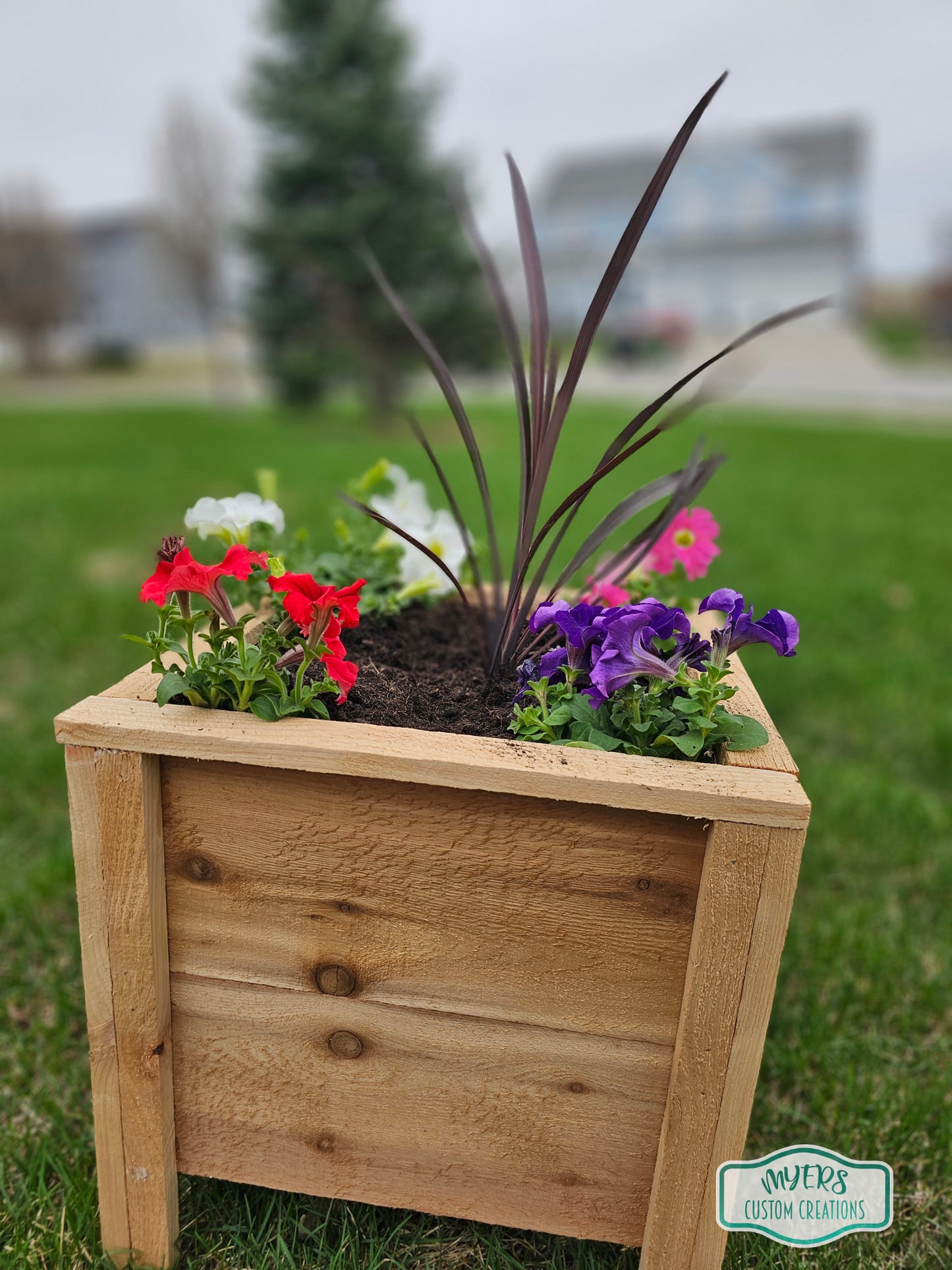 Cedar Planter