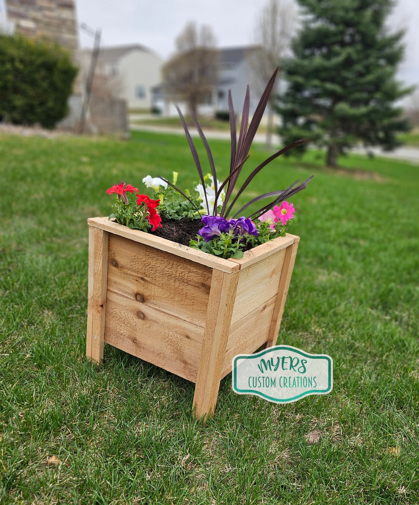 Cedar Planter