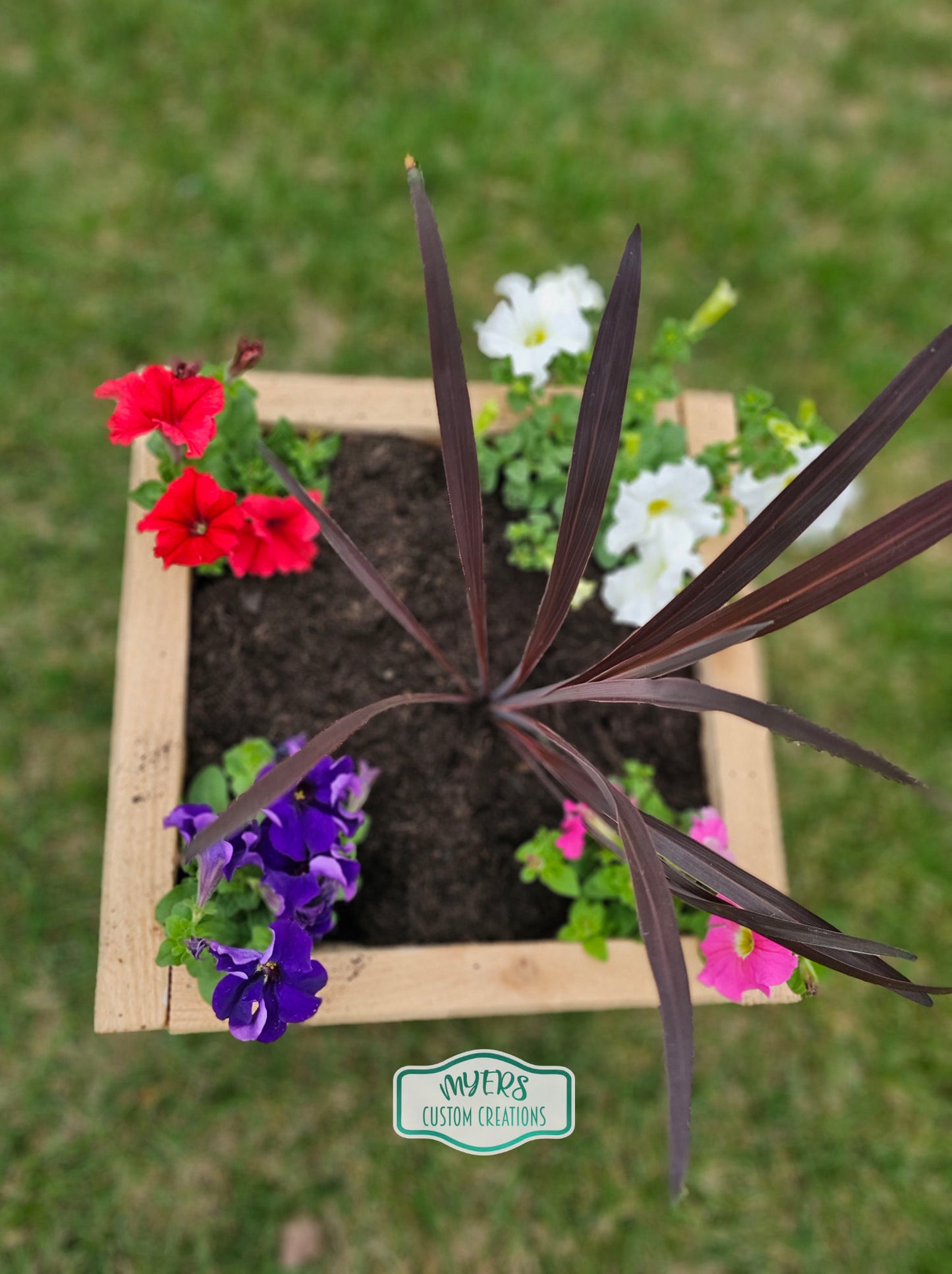 Cedar Planter